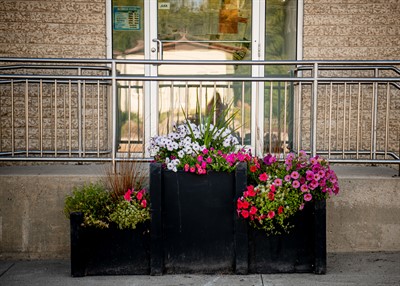 Comte-RM-Flower-office